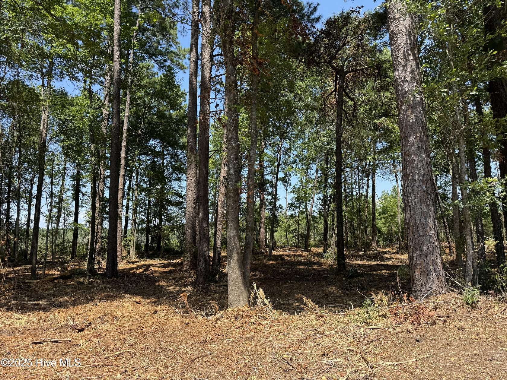 0.46 Acres of Residential Land for Sale in Tabor City, North Carolina