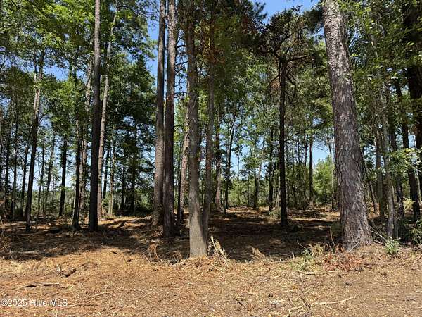 0.46 Acres of Residential Land for Sale in Tabor City, North Carolina
