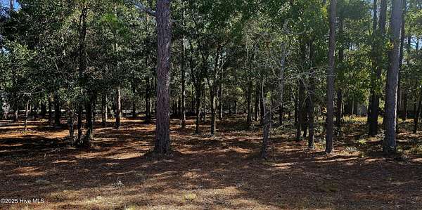 0.21 Acres of Residential Land for Sale in Bolivia, North Carolina