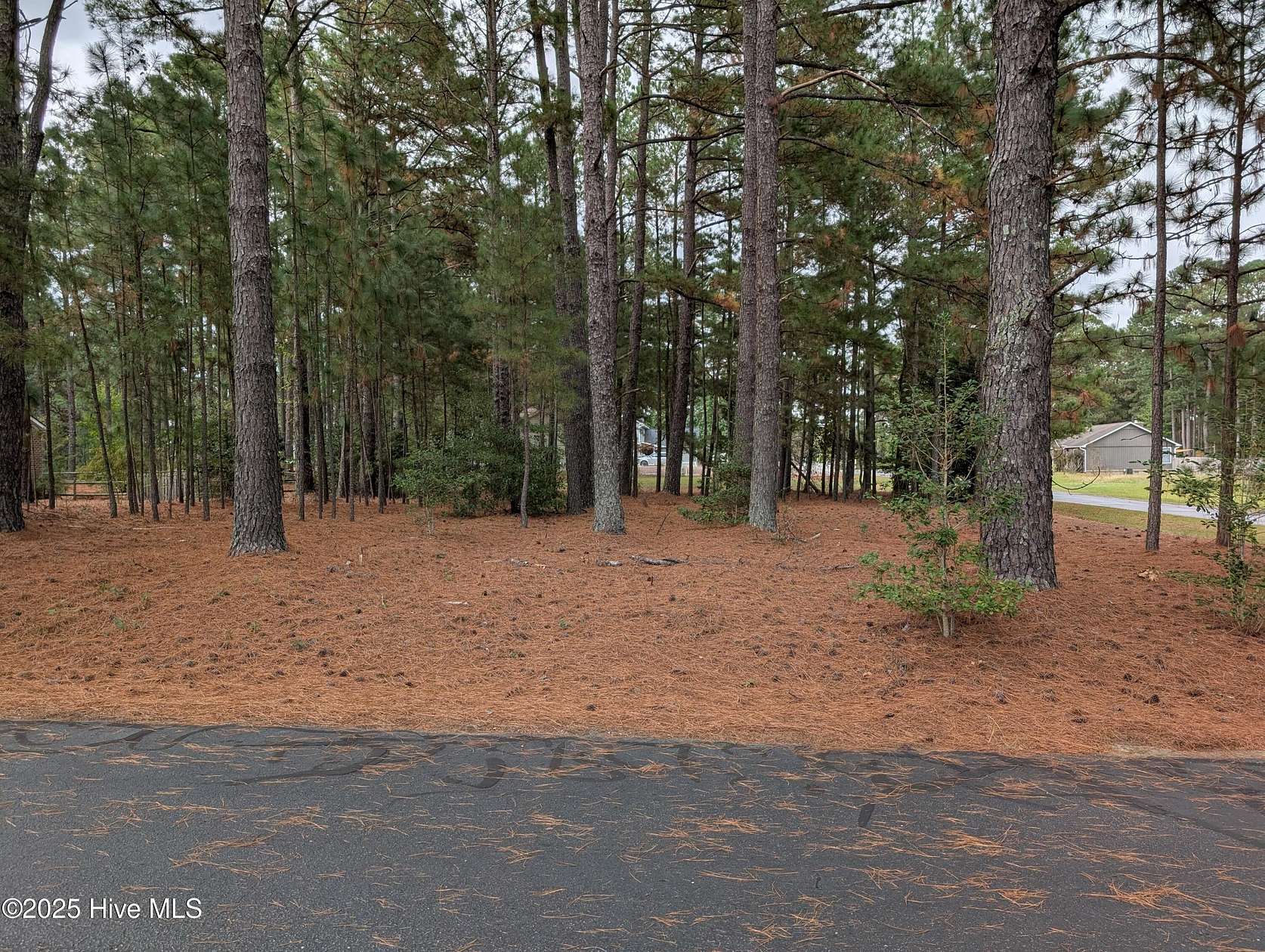 0.34 Acres of Residential Land for Sale in Pinebluff, North Carolina