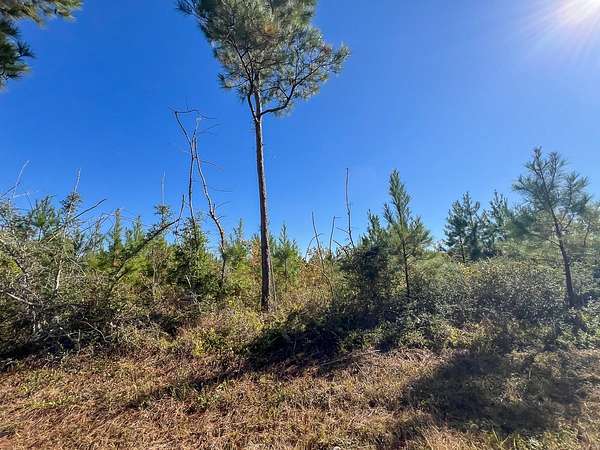 8 Acres of Land for Sale in Votaw, Texas
