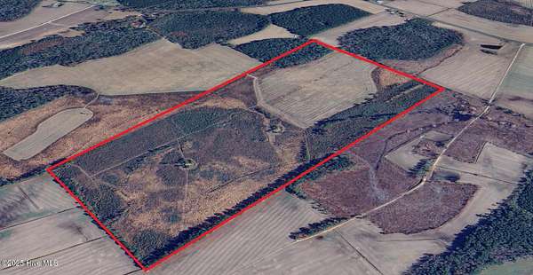 106 Acres of Recreational Land & Farm for Sale in Whiteville, North Carolina