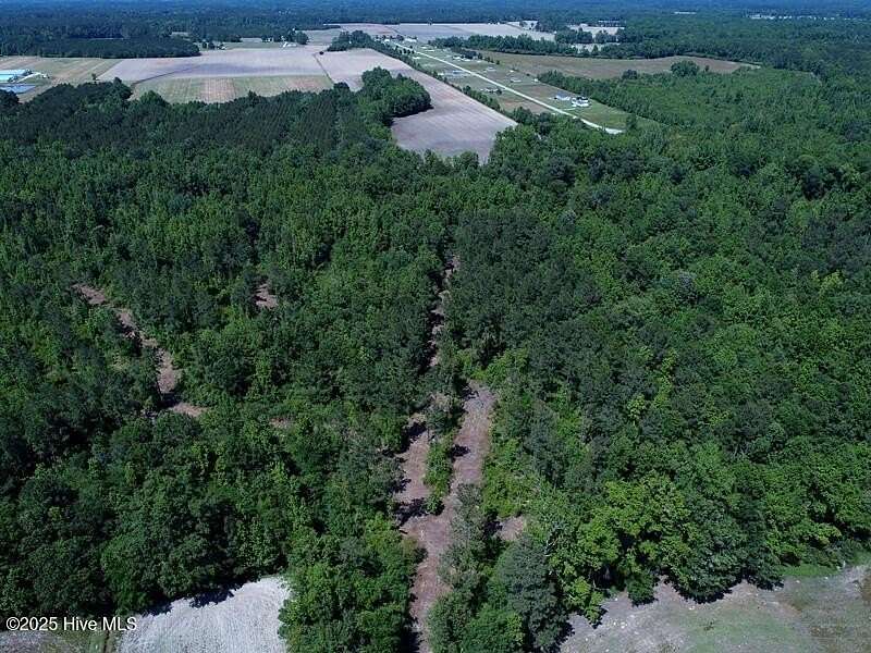 49.5 Acres of Recreational Land for Sale in Chadbourn, North Carolina