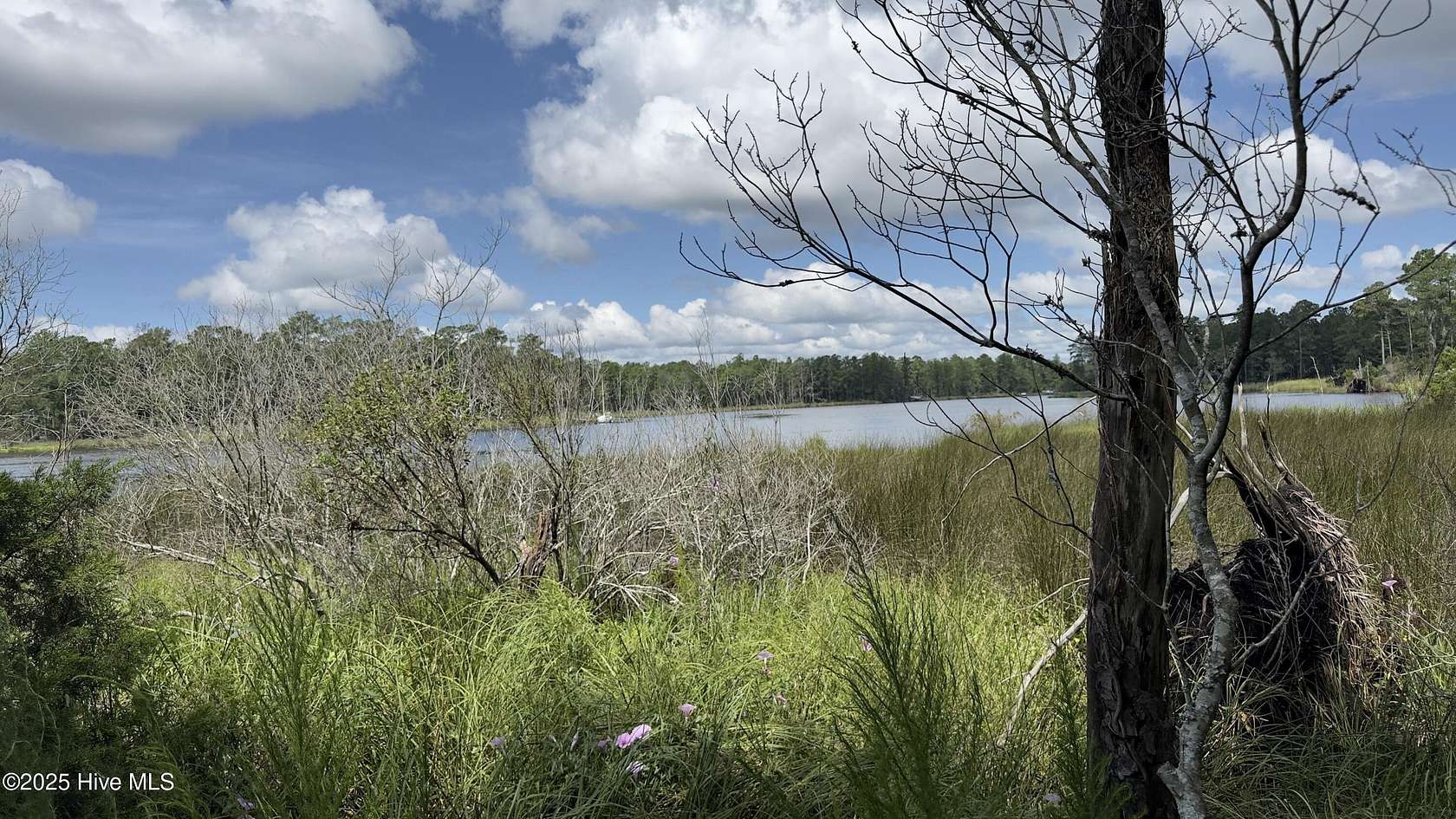 2.8 Acres of Residential Land for Sale in Belhaven, North Carolina