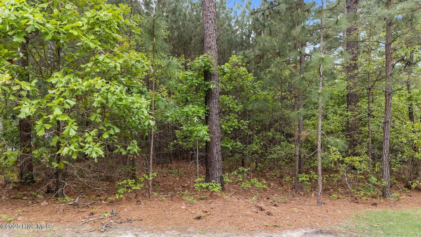 0.5 Acres of Land for Sale in West End, North Carolina