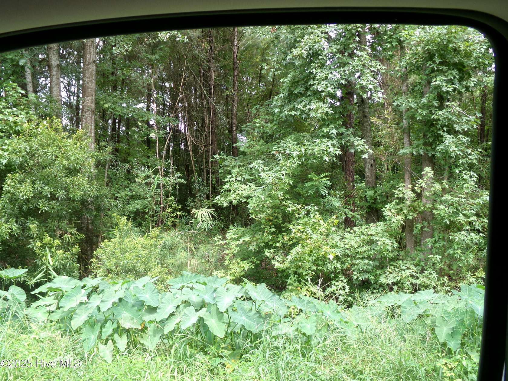 0.24 Acres of Residential Land for Sale in Fair Bluff, North Carolina