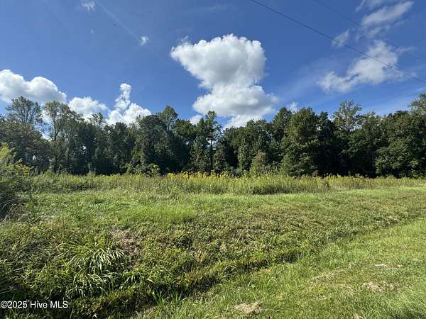 13 Acres of Land for Sale in Chocowinity, North Carolina