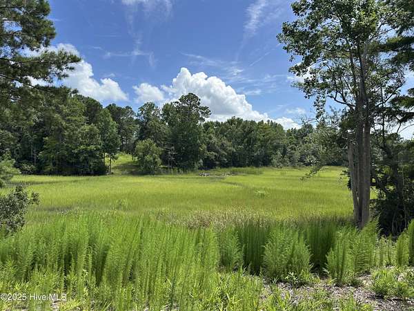 0.44 Acres of Residential Land for Sale in Hampstead, North Carolina