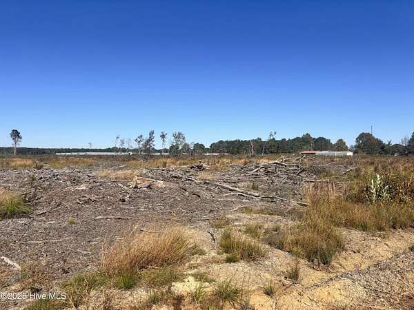 13.3 Acres of Land for Sale in Clinton, North Carolina