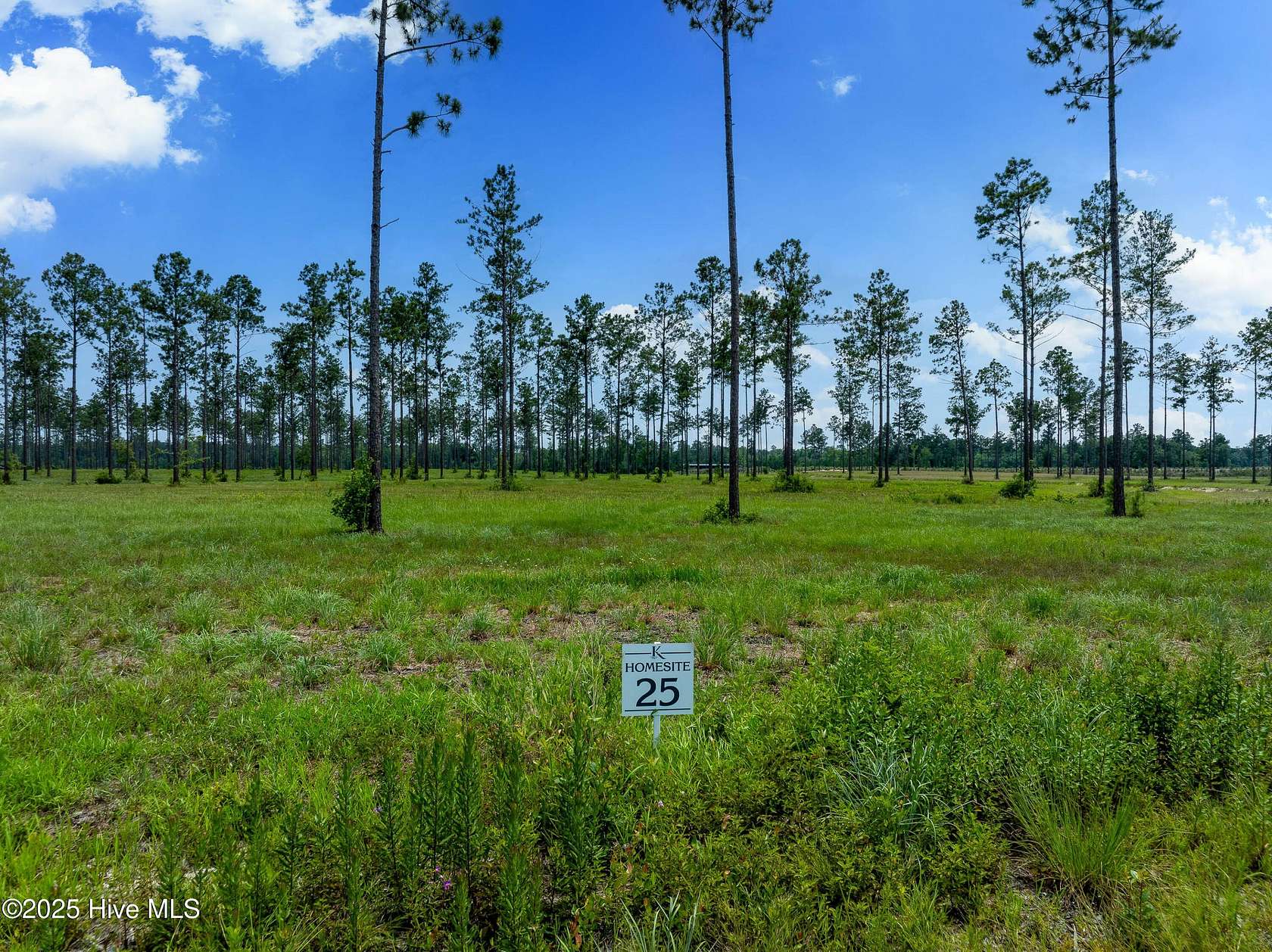 19.6 Acres of Land for Sale in Rocky Point, North Carolina