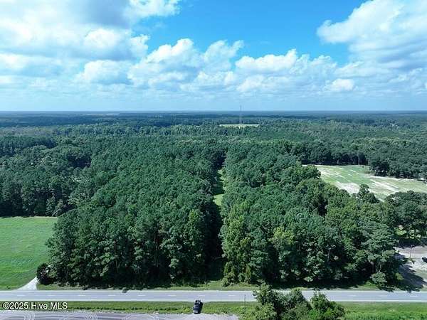 39.4 Acres of Recreational Land for Sale in Roseboro, North Carolina