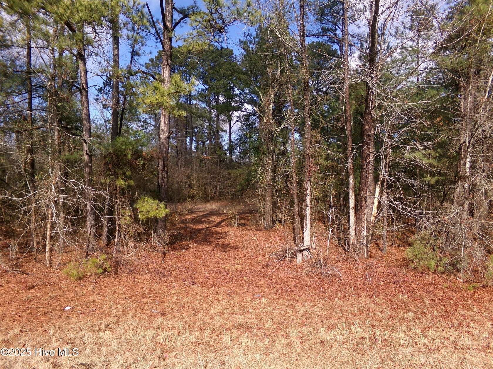 2 Acres of Commercial Land for Sale in Lumberton, North Carolina