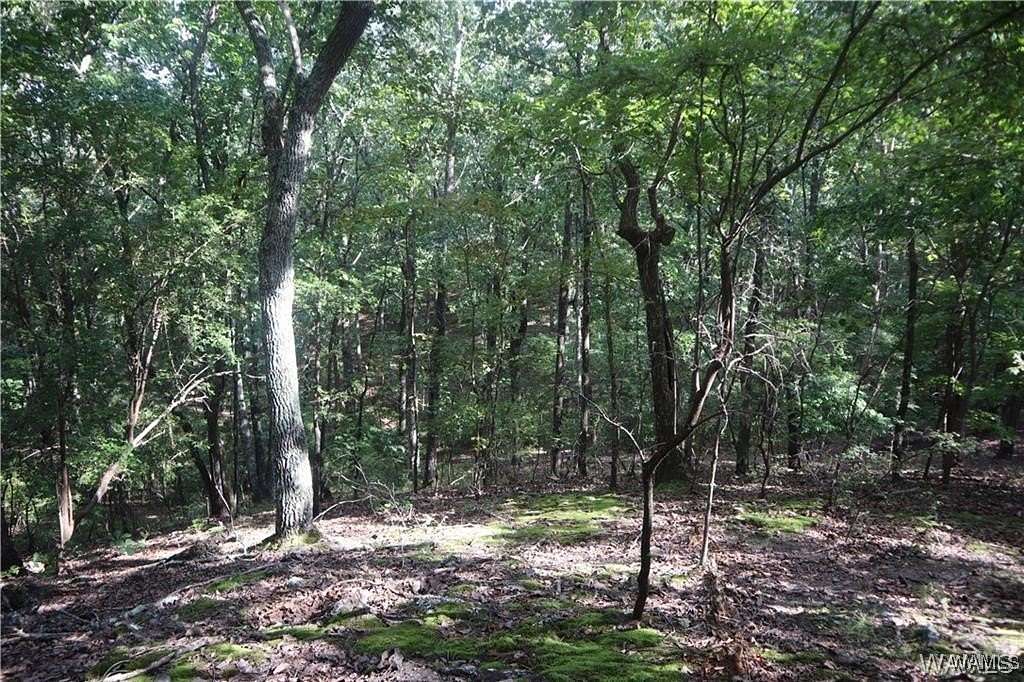 26.5 Acres of Recreational Land for Sale in Fayette, Alabama