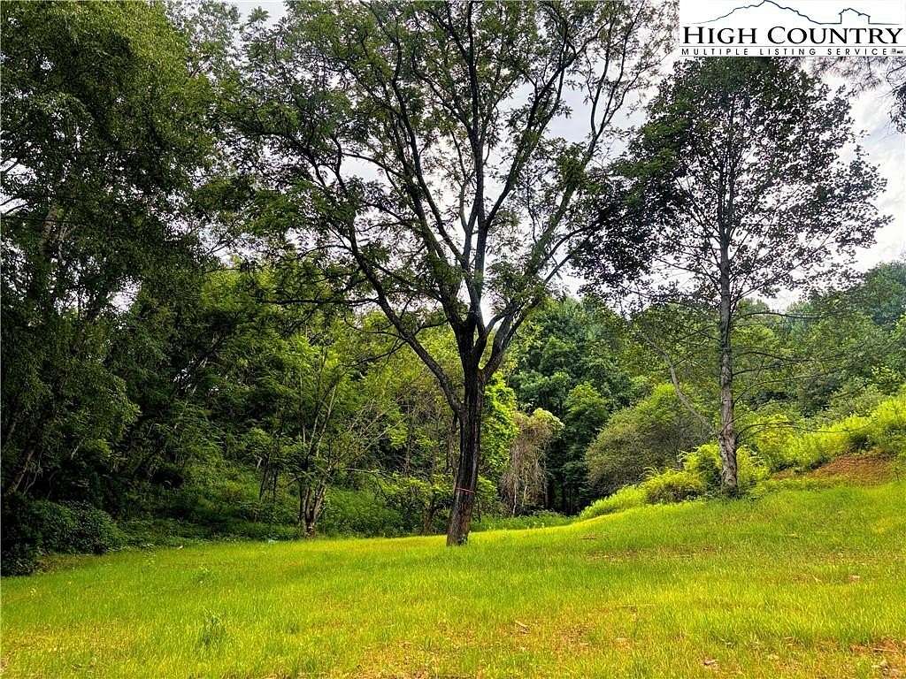 6 Acres of Agricultural Land for Sale in Vilas, North Carolina