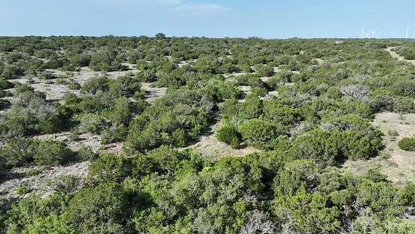 131 Acres of Recreational Land for Sale in Carta Valley, Texas