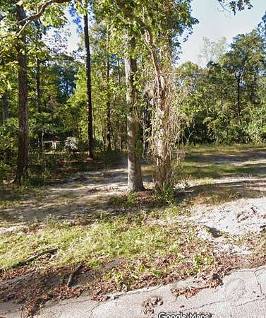 0.33 Acres of Residential Land for Sale in Johnsonville, South Carolina