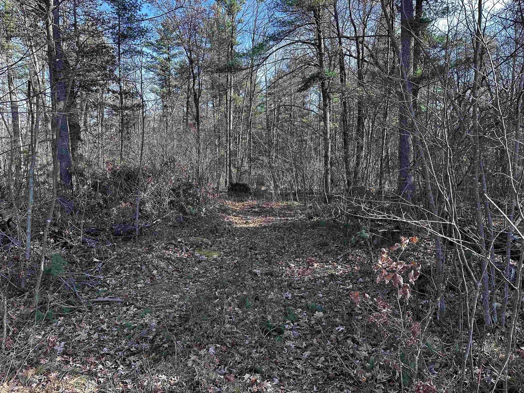 20 Acres of Recreational Land for Sale in Stevens Point, Wisconsin