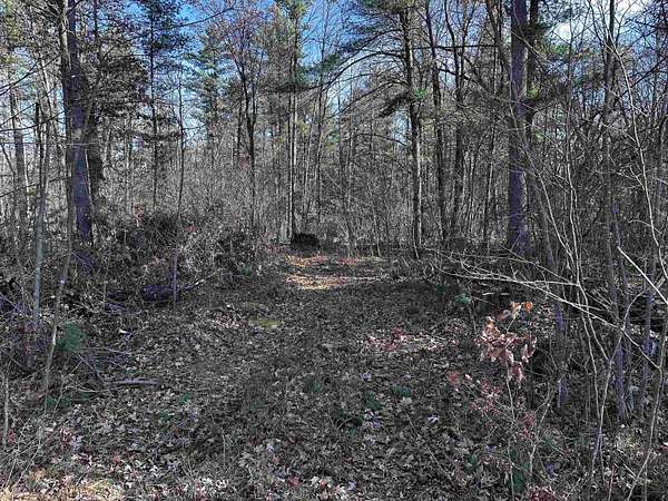 20 Acres of Recreational Land for Sale in Stevens Point, Wisconsin