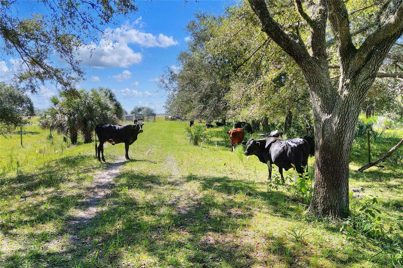 80 Acres of Recreational Land for Sale in Punta Gorda, Florida