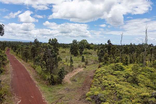 20 Acres of Land for Sale in Mountain View, Hawaii