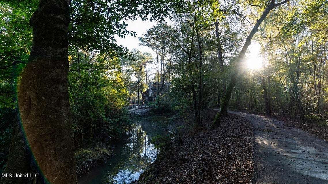 233 Acres of Recreational Land & Farm for Sale in Osyka, Mississippi