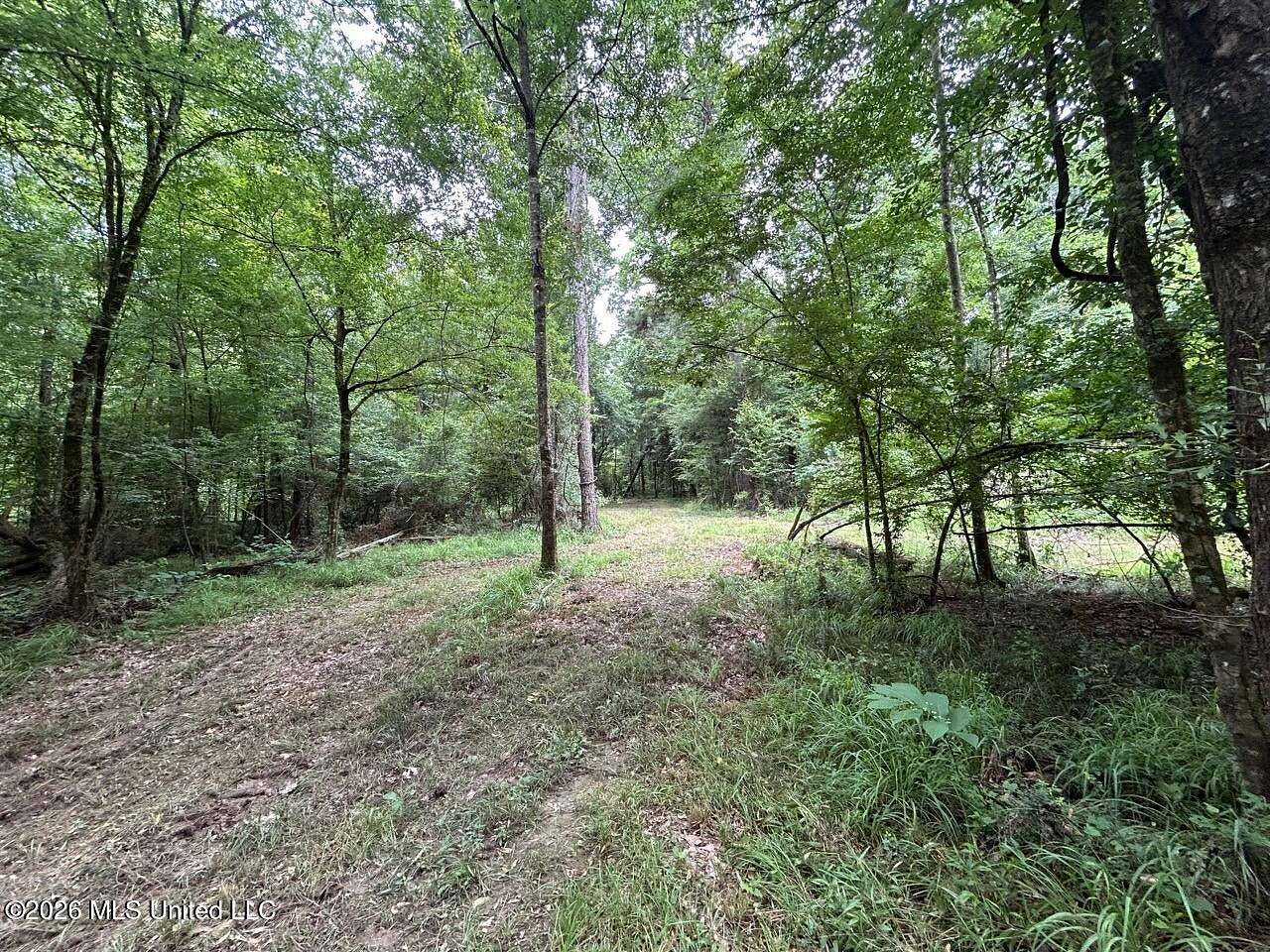 113 Acres of Land for Sale in Osyka, Mississippi
