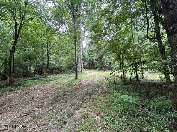 113 Acres of Land for Sale in Osyka, Mississippi
