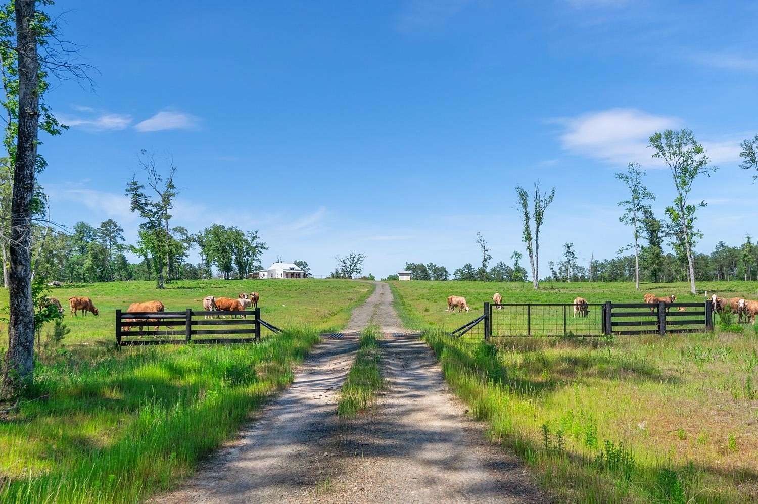 193 Acres of Land with Home for Sale in Colmesneil, Texas