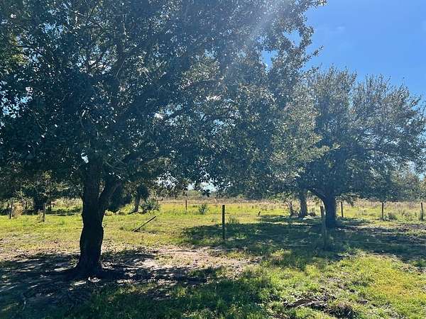 20 Acres of Agricultural Land for Sale in Okeechobee, Florida