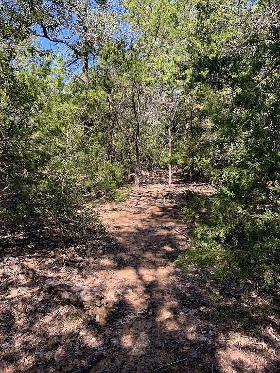 25 Acres of Recreational Land for Sale in Lexington, Texas