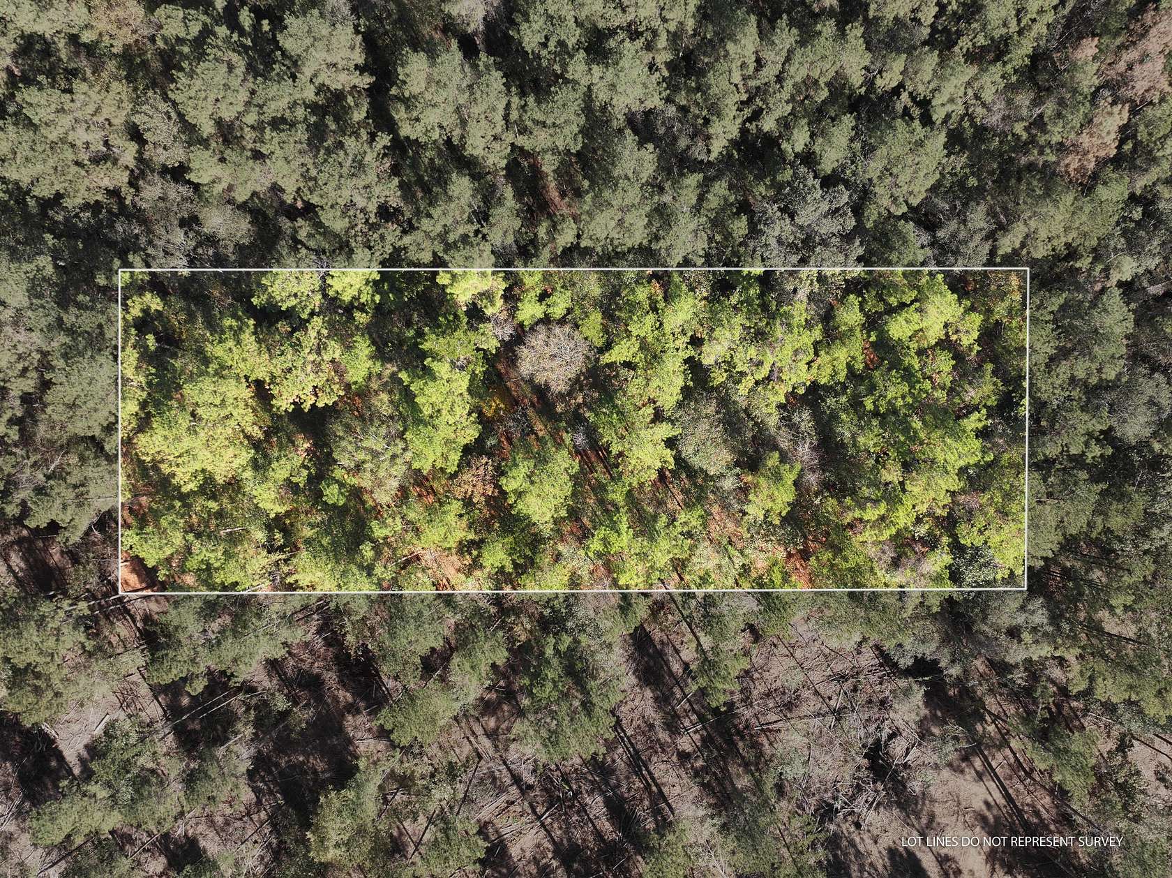 1 Acre of Residential Land for Sale in McLain, Mississippi
