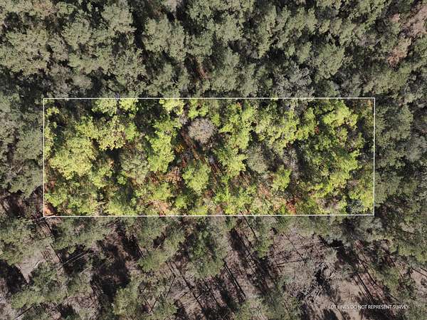 1 Acre of Land for Sale in McLain, Mississippi