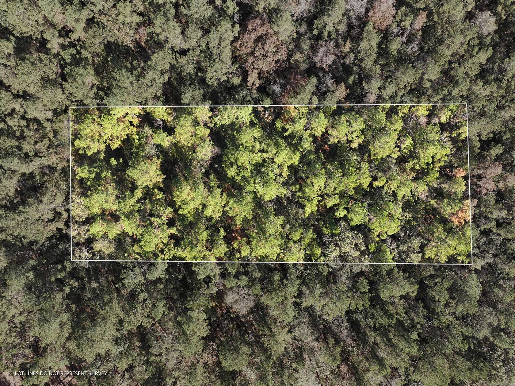 1 Acre of Residential Land for Sale in McLain, Mississippi
