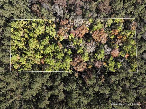 1 Acre of Residential Land for Sale in McLain, Mississippi