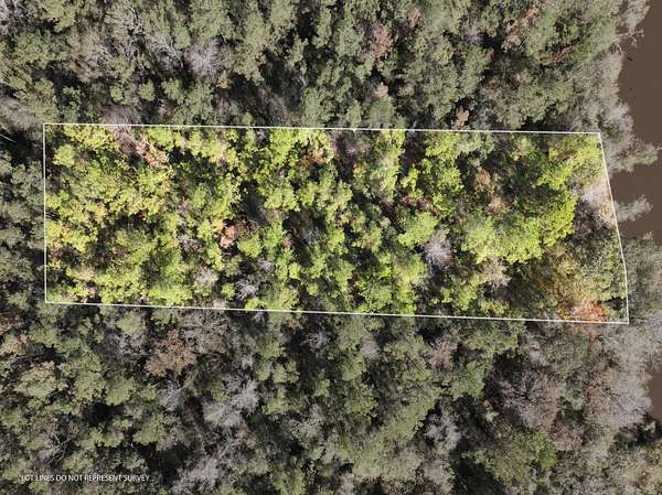 1 Acre of Land for Sale in McLain, Mississippi