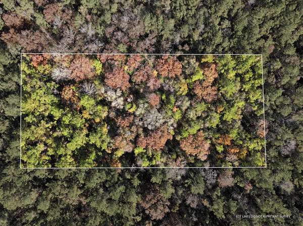 1 Acre of Residential Land for Sale in McLain, Mississippi