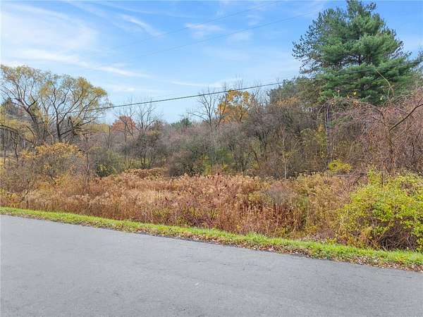 2 Acres of Residential Land for Sale in Trumansburg, New York