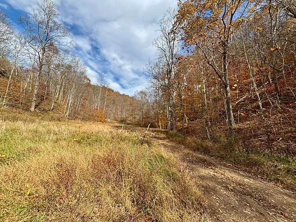 23.7 Acres of Recreational Land for Sale in Procious, West Virginia