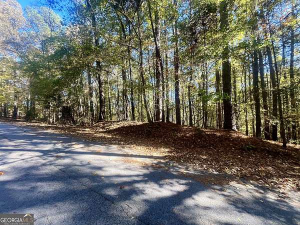 0.39 Acres of Residential Land for Sale in Monticello, Georgia