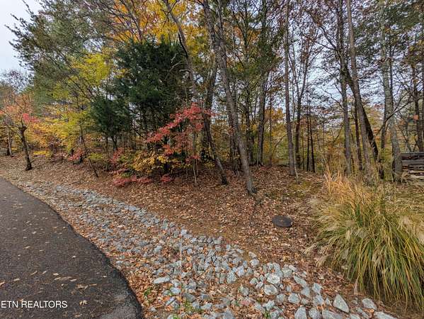 0.4 Acres of Residential Land for Sale in Townsend, Tennessee