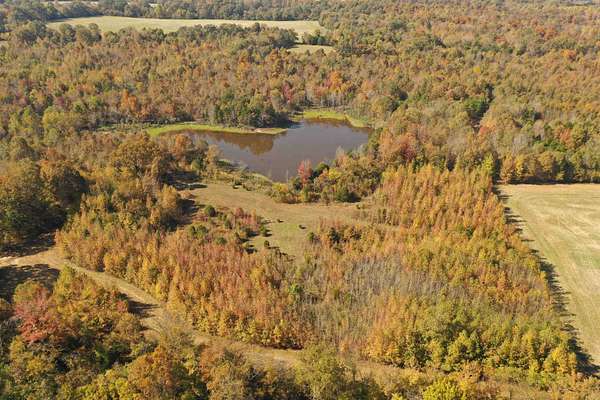 95 Acres of Recreational Land & Farm for Sale in Oakland, Tennessee