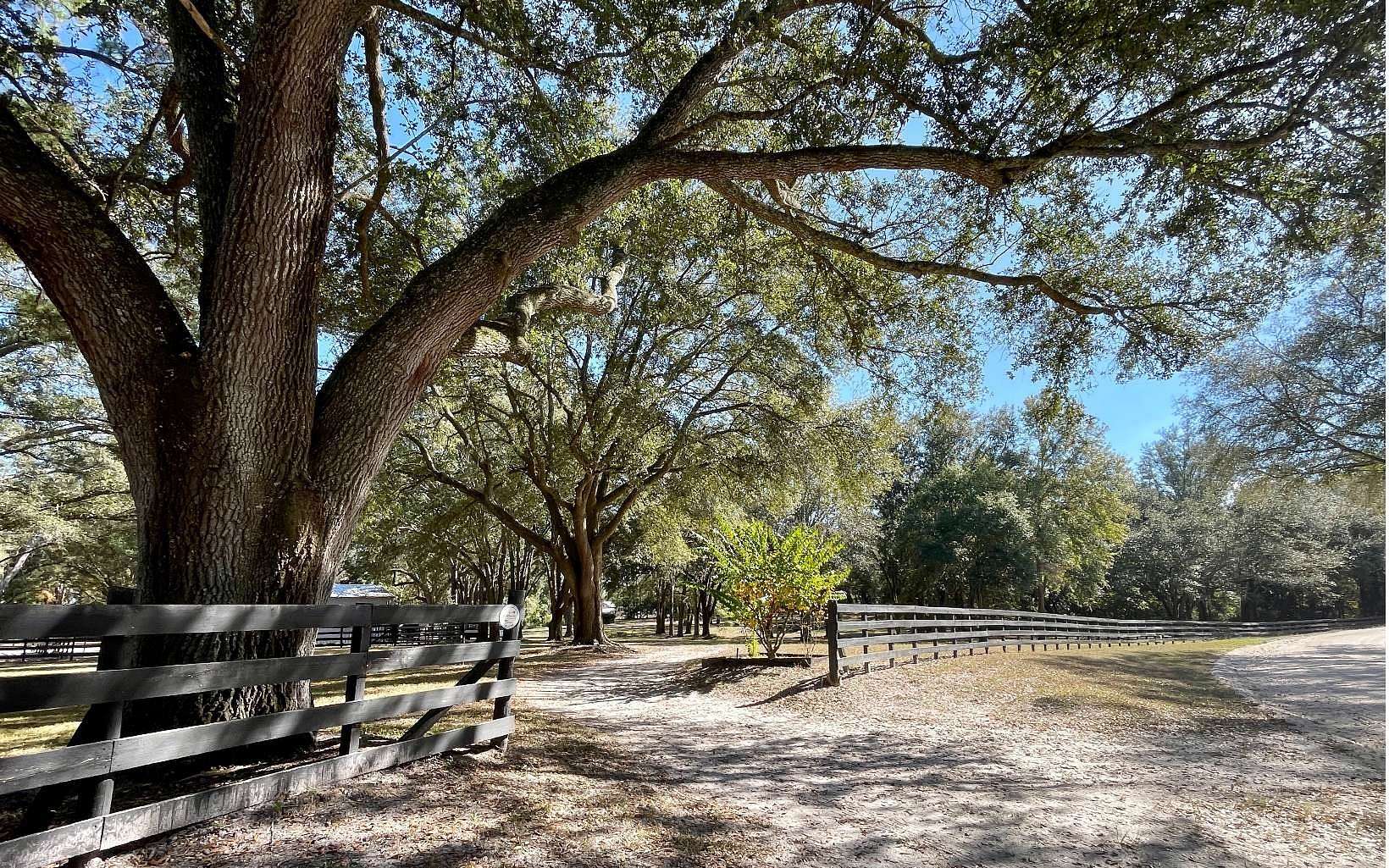 5 Acres of Land for Sale in McAlpin, Florida