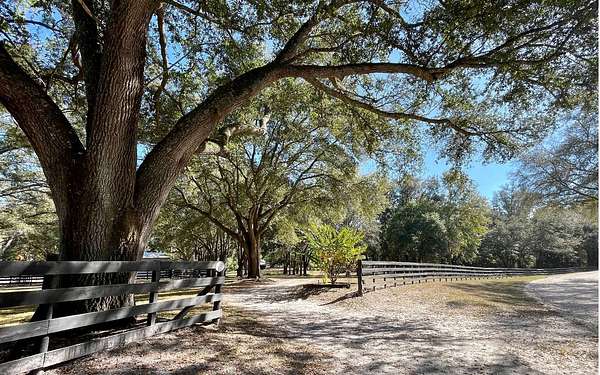 5 Acres of Land for Sale in McAlpin, Florida