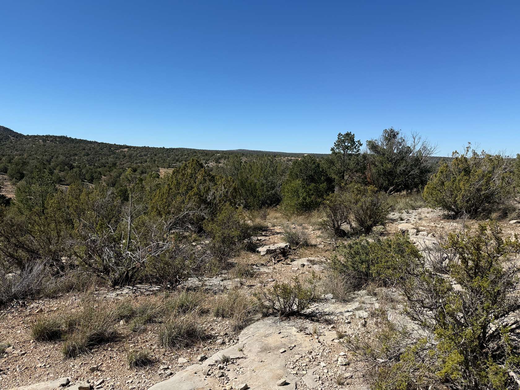 3.12 Acres of Agricultural Land for Sale in Seligman, Arizona