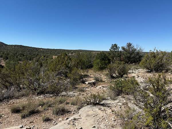 3.12 Acres of Agricultural Land for Sale in Seligman, Arizona