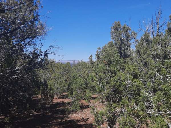 7.1 Acres of Agricultural Land for Sale in Seligman, Arizona