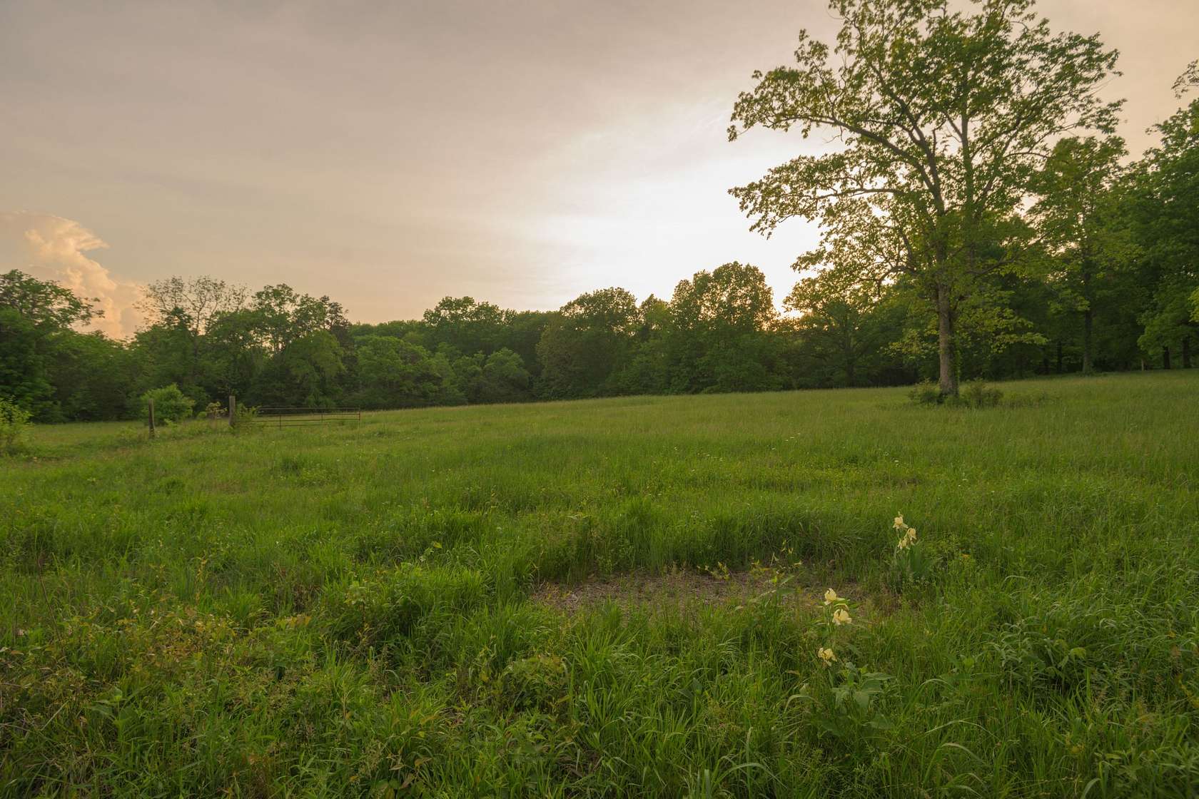 64.8 Acres of Land with Home for Sale in Wartrace, Tennessee