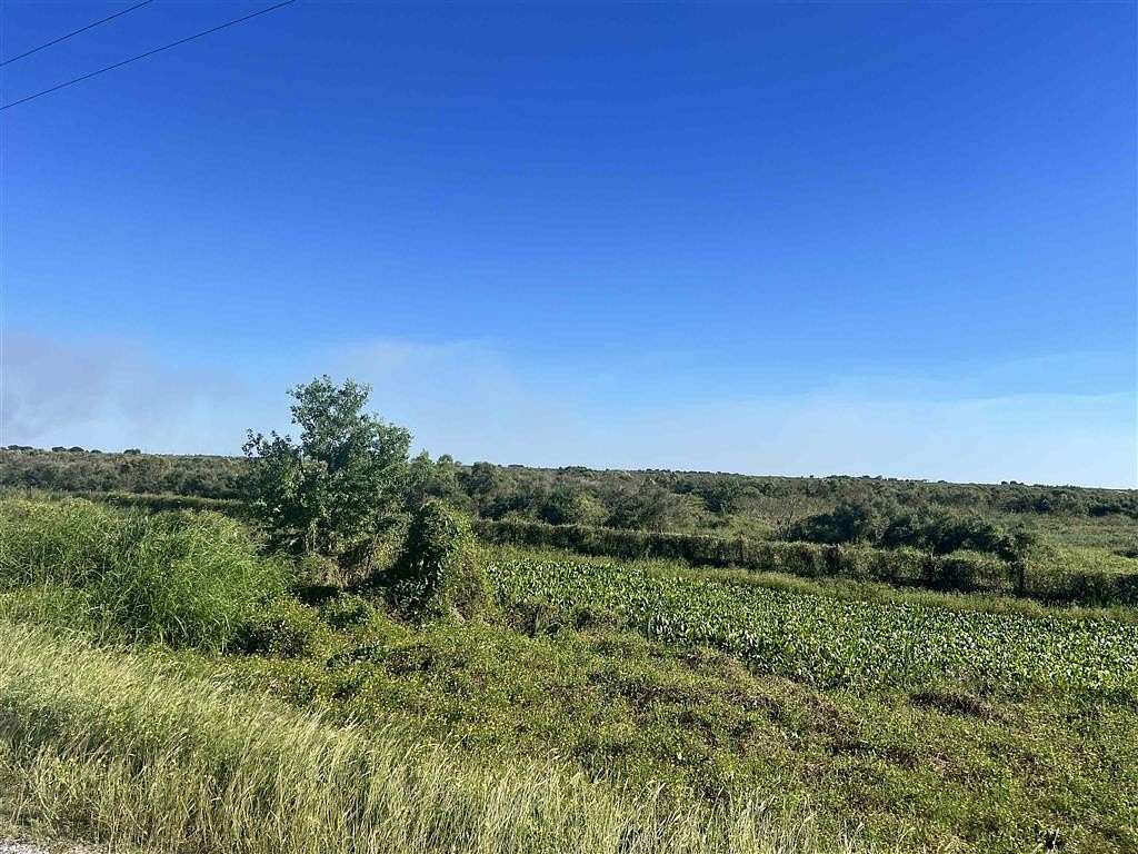 16 Acres of Recreational Land & Farm for Sale in Creole, Louisiana