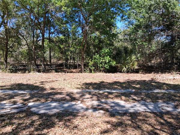 1.11 Acres of Residential Land for Sale in Avon Park, Florida