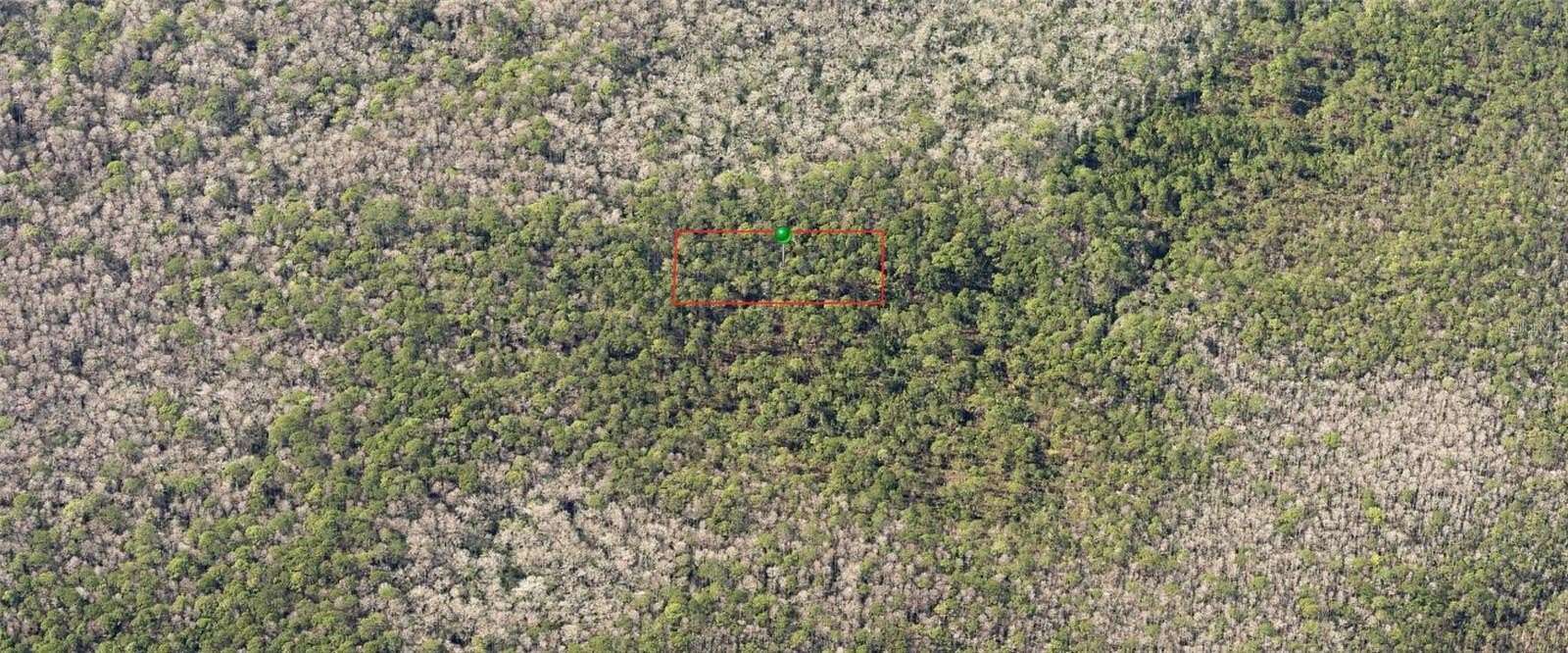 1.25 Acres of Land for Sale in DeLand, Florida
